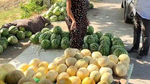 微山热门吃瓜,揭秘当地美食背后的故事与传说