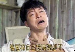 张明星网红演义图片,网红演义中的璀璨星辉