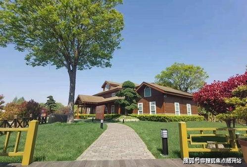 惠州今日鲜瓜价格查询网,惠州今日鲜瓜价格一览