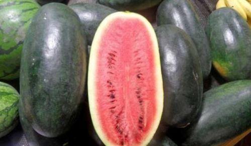 黑料吃瓜总站2,揭秘娱乐圈幕后真相，带你走进明星隐私世界