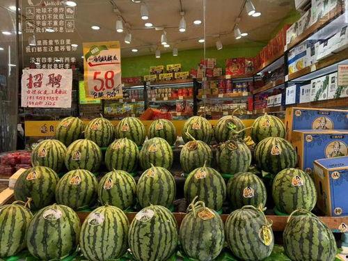 今日份实拍海南麒麟瓜,热带风情下的绿色珍果掠影