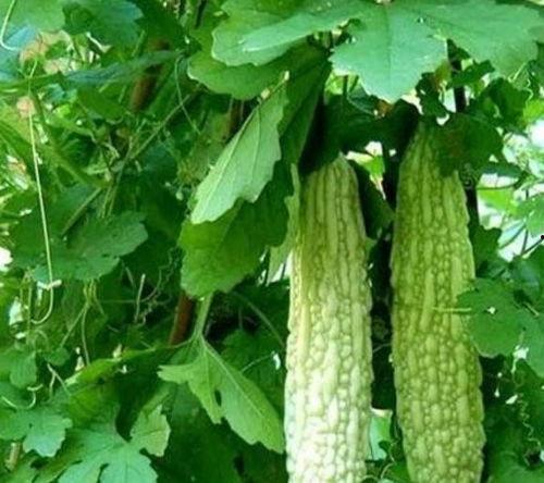 热门吃瓜歌,揭秘娱乐圈背后的那些事儿