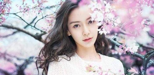 明星网红多的省,揭秘我国网红明星最多的省份”