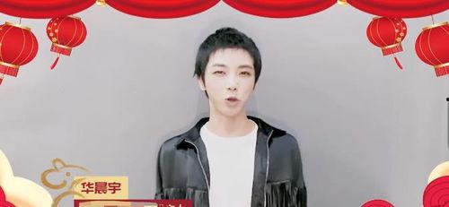 明星网红曝光视频下载,下载背后的真相与争议