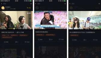 热门吃瓜视频最全观看,一网打尽年度最热话题