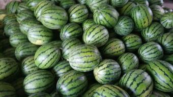 有啥热门的瓜,揭秘明星幕后故事