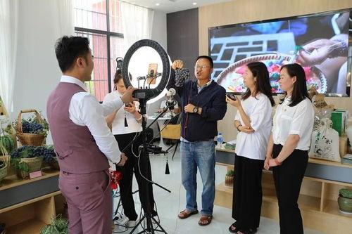 广州今日头条卖瓜事件,网络谣言与真相的较量