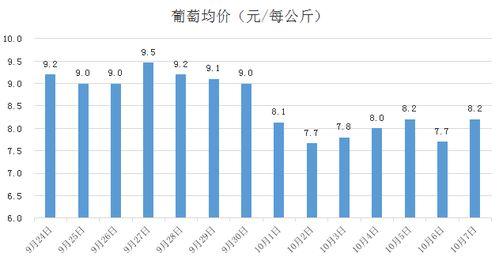 上海哈密瓜今日价格走势,今日行情解析