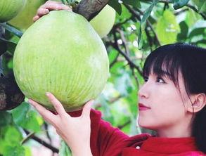 黑料吃瓜爆料网红一区,黑料吃瓜背后的真相与内幕