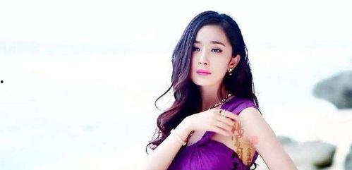 明星网红用的冰箱,时尚与实用的完美融合