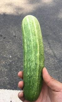 丽水今日热瓜事件真相,揭秘背后真相与影响