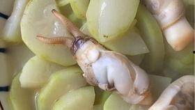 兰瓜与黑耳子能同时吃吗,能否共享美味？