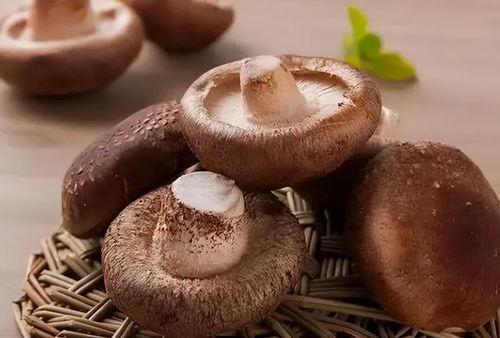 兰瓜与黑耳子能同时吃吗,能否共享美味？