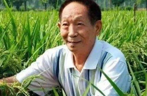 明星网红送别袁老,明星网红共寄哀思，致敬农业泰斗