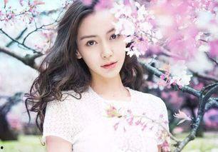 明星网红们力推款,揭秘热门产品背后的魅力！