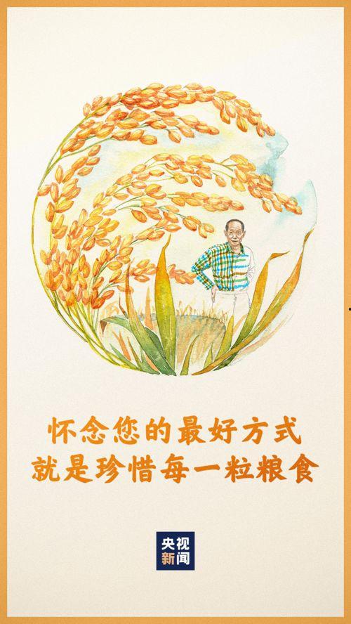 送别袁隆平的明星网红,明星网红齐聚，共悼杂交水稻之父