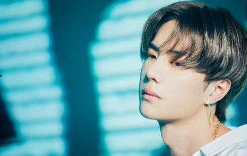 上遍明星网红小说,揭秘明星网红背后的故事