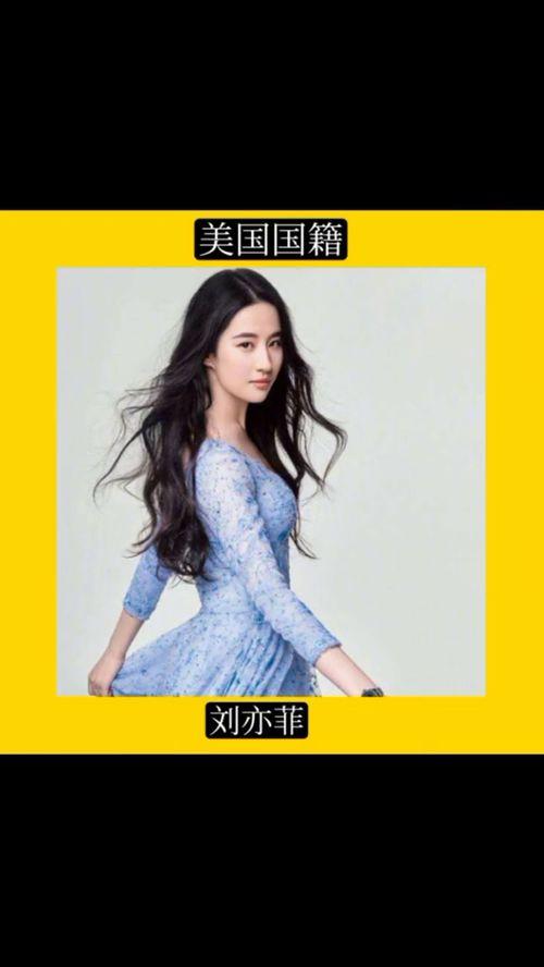 外国明星网红来中国,文化碰撞与粉丝狂欢