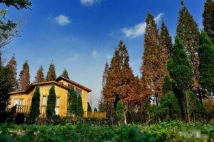 瓜州属于今日的哪里,穿越千年的丝绸之路古郡