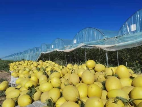 瓜州属于今日的哪里,穿越千年的丝绸之路古郡