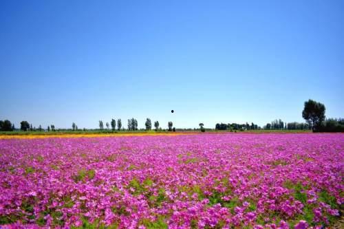 瓜州属于今日的哪里,穿越千年的丝绸之路古郡