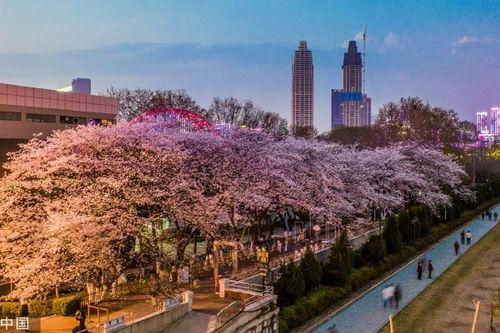 抖音最新吃瓜爆料入口是真的吗,揭秘真相还是虚假传闻？