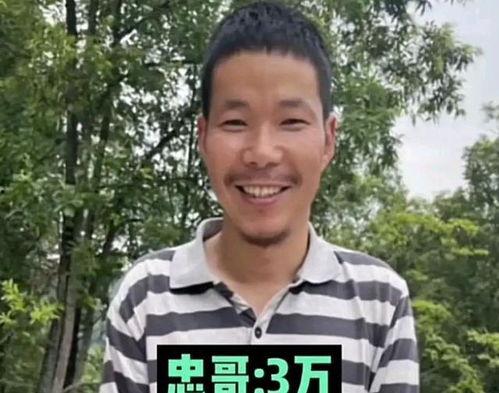 不捐款的明星网红,这些明星网红为何不捐款？揭秘背后原因