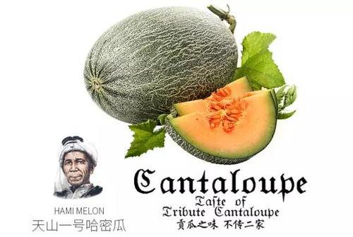 吃瓜群众热门版,揭秘娱乐圈最新热点事件