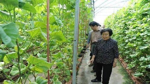 郴州吃瓜最新事件爆料是真的吗,最新爆料真相揭秘