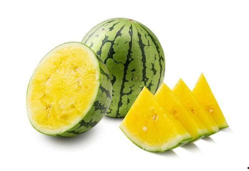 热门麒麟瓜,揭秘网络热词背后的文化现象