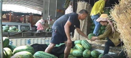 临沂热门吃瓜事件真相视频,真相视频背后的惊人内幕