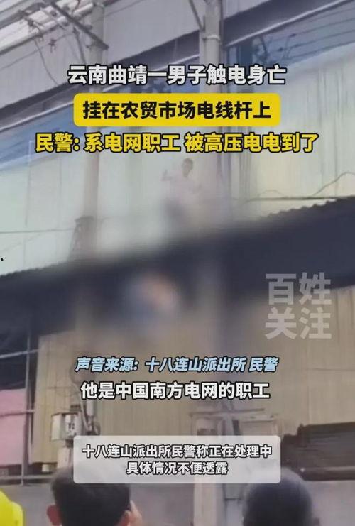 曲靖茭瓜厂今日视频直播,绿色生态种植，美味茭瓜新鲜上市