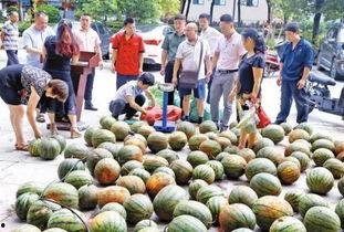 海角吃瓜黑料社区,网络舆论场中的暗流涌动