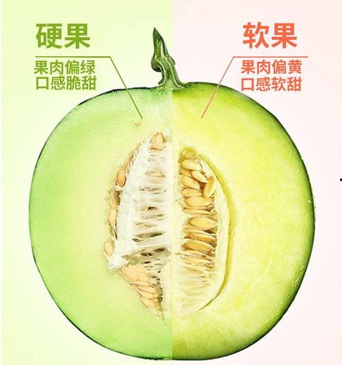 奶香蜜瓜今日拿货价,尽享夏日甜蜜滋味