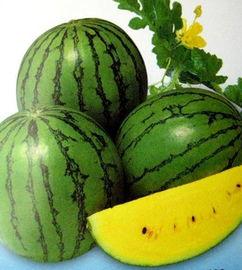 热门什么瓜,揭秘热门事件背后的真相与内幕