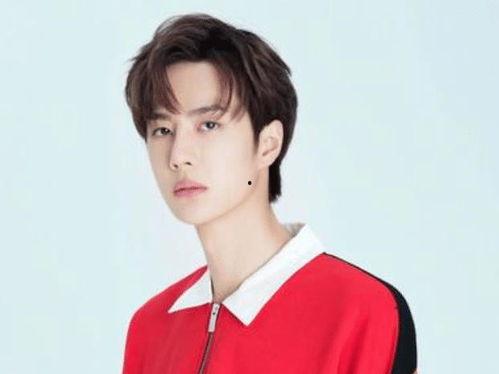 叶姓明星网红排名,盘点人气爆棚的叶氏网红风采