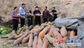 近期热门吃瓜事件山西,揭秘近期轰动一时的本地热点事件