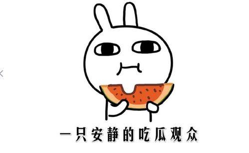 热门吃瓜网红,揭秘热门吃瓜网红背后的故事