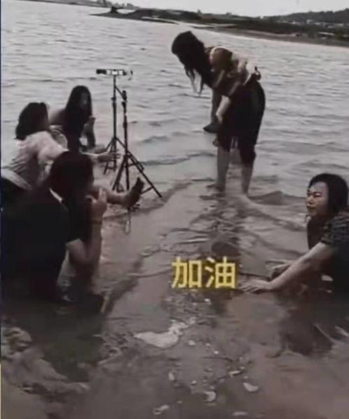 洪水救援的明星网红,明星网红携手助力，共筑爱心防线