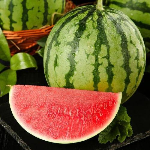 麒麟瓜热门,夏日消暑新宠，网红水果的崛起之路