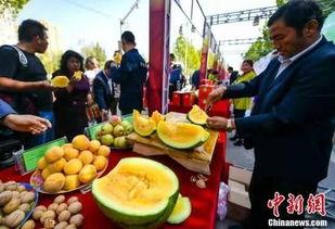 历史热门吃瓜事件,那些让人津津乐道的吃瓜大事件