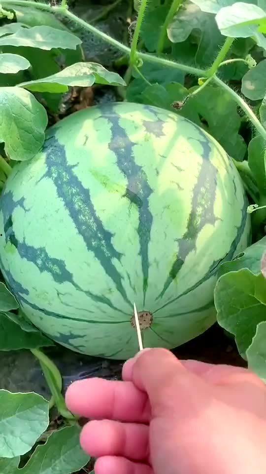 最近热门新瓜,真相与反转的较量