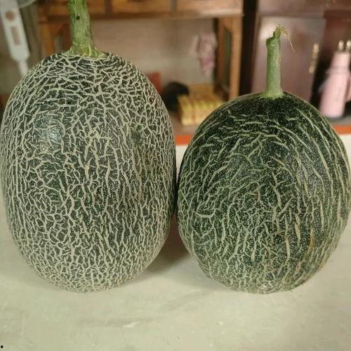 各品质哈密瓜今日价格,品质优劣，价格波动，揭秘市场行情