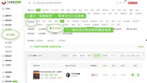 飞瓜数据怎么看热门视频,热门视频生成攻略
