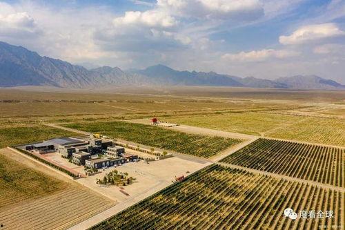 瓜州旅游热门乡镇,探寻热门乡镇的美丽风光与独特魅力