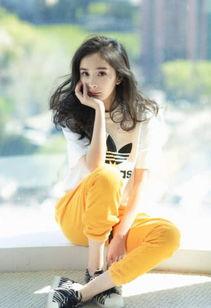 狐狸眼的明星网红,揭秘明星网红的独特眼神魅力