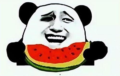 带你吃瓜奇葩玩具黑科技,盘点那些令人惊叹的奇葩玩具黑科技