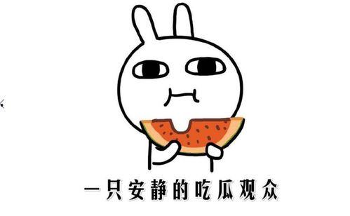 最新热门吃瓜事件,揭秘明星隐私风波背后的真相