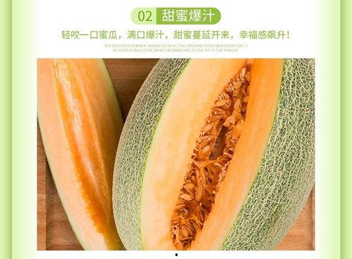 海南哈密瓜今日的价格,价格亲民，尽享夏日清凉美味