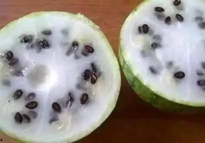 山竹娃娃白瓤黑瓜怎么吃,白瓤黑瓜的食用指南